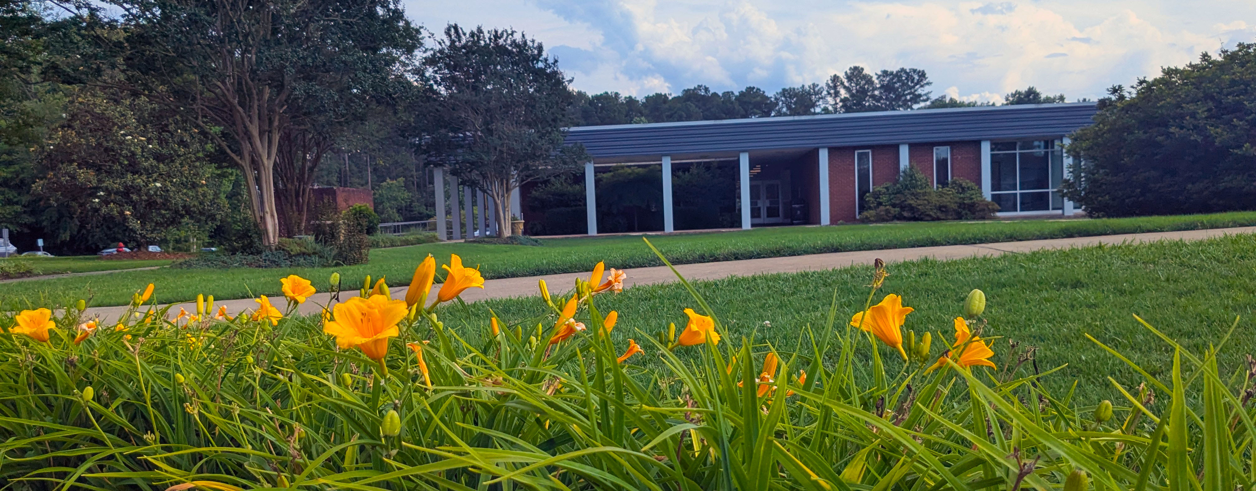 Campus scene with yellow flowers.