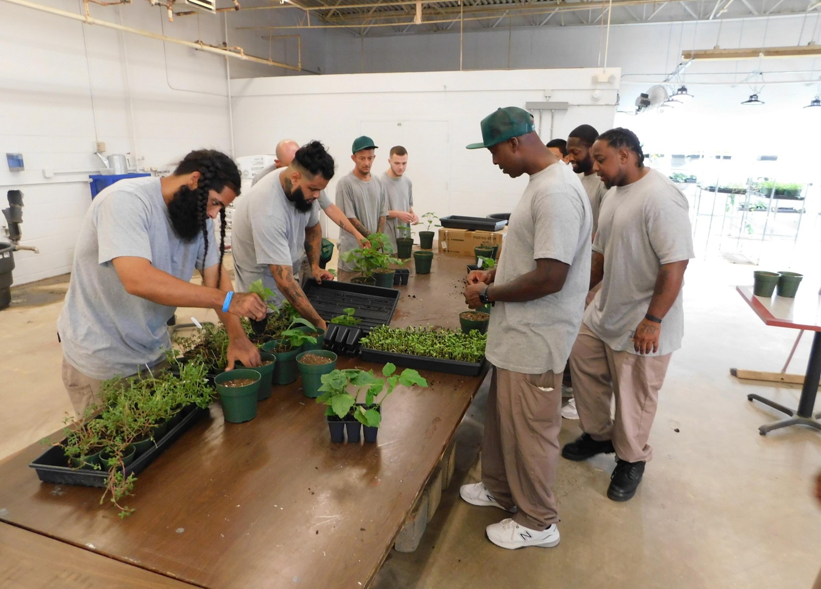 Inmates repot plants at the correctional facility.