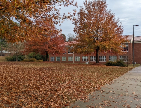 photo of trees on campus in autumn