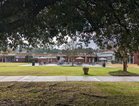 Photo of the campus during fall