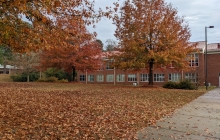 photo of trees on campus in autumn